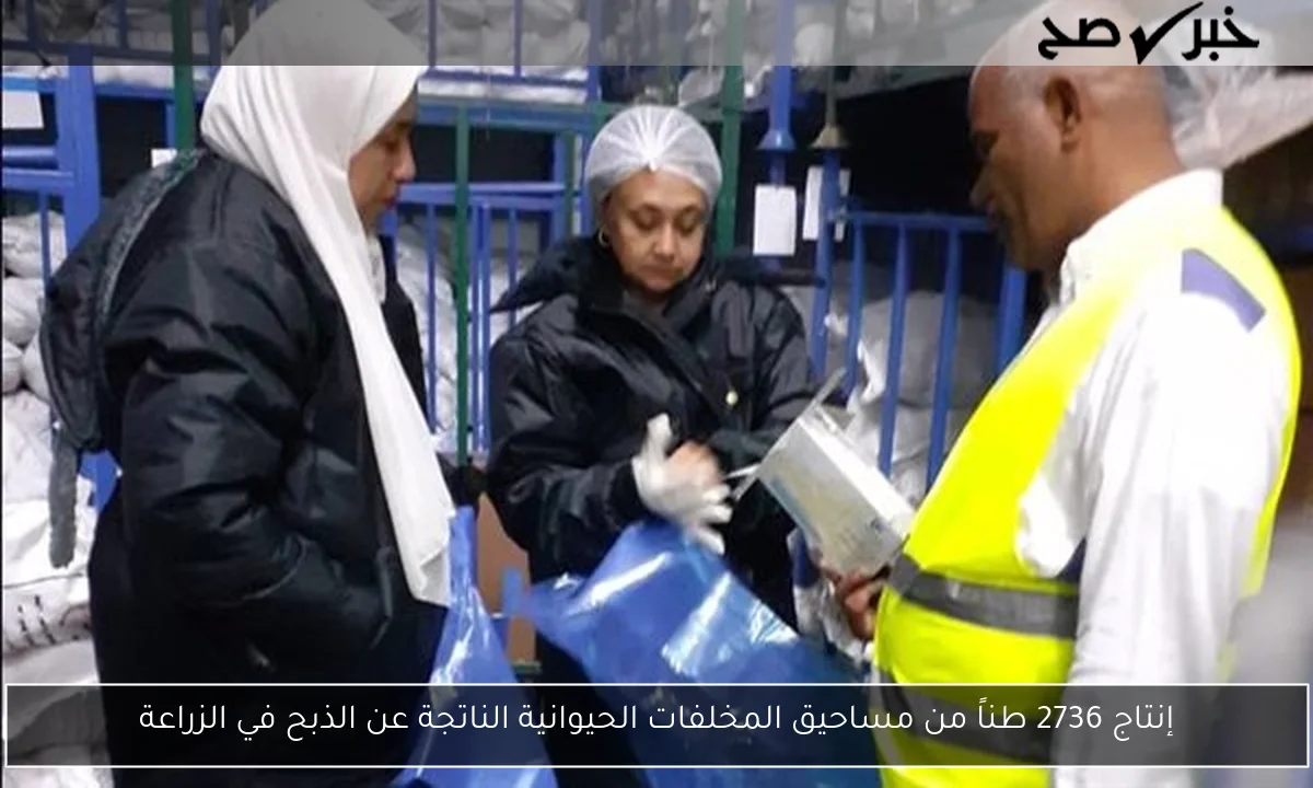 إنتاج 2736 طناً من مساحيق المخلفات الحيوانية الناتجة عن الذبح في الزراعة