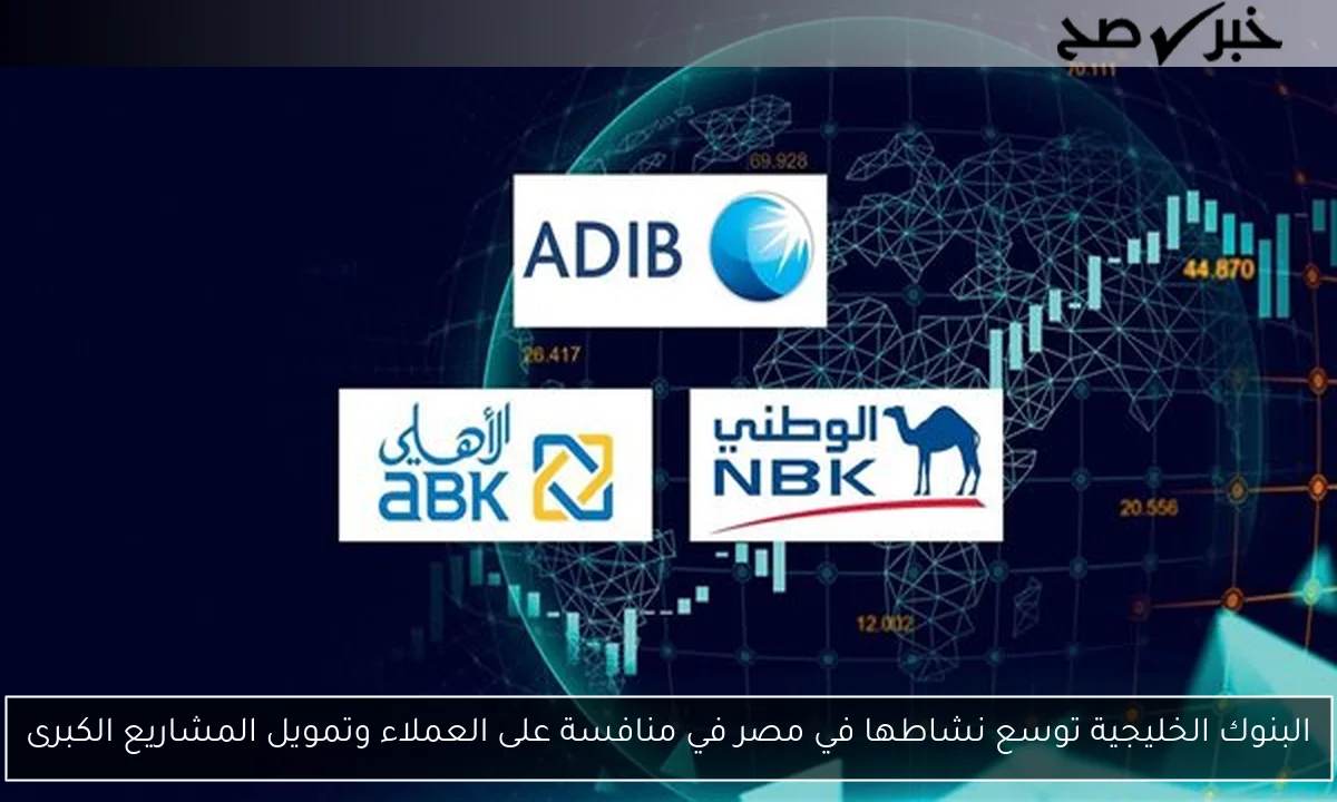 البنوك الخليجية توسع نشاطها في مصر في منافسة على العملاء وتمويل المشاريع الكبرى