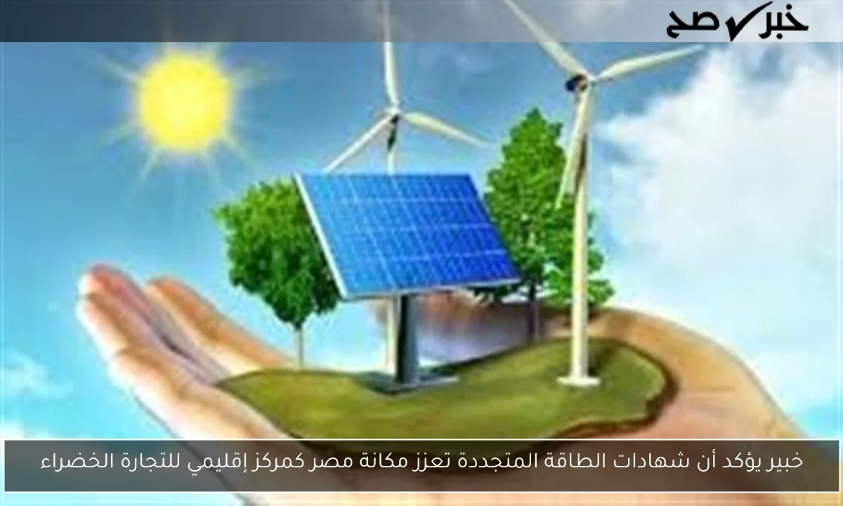 خبير يؤكد أن شهادات الطاقة المتجددة تعزز مكانة مصر كمركز إقليمي للتجارة الخضراء