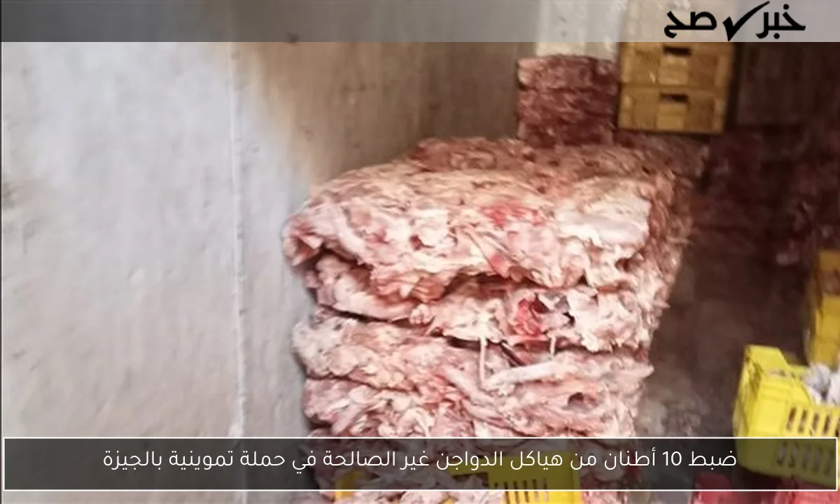 ضبط 10 أطنان من هياكل الدواجن غير الصالحة في حملة تموينية بالجيزة