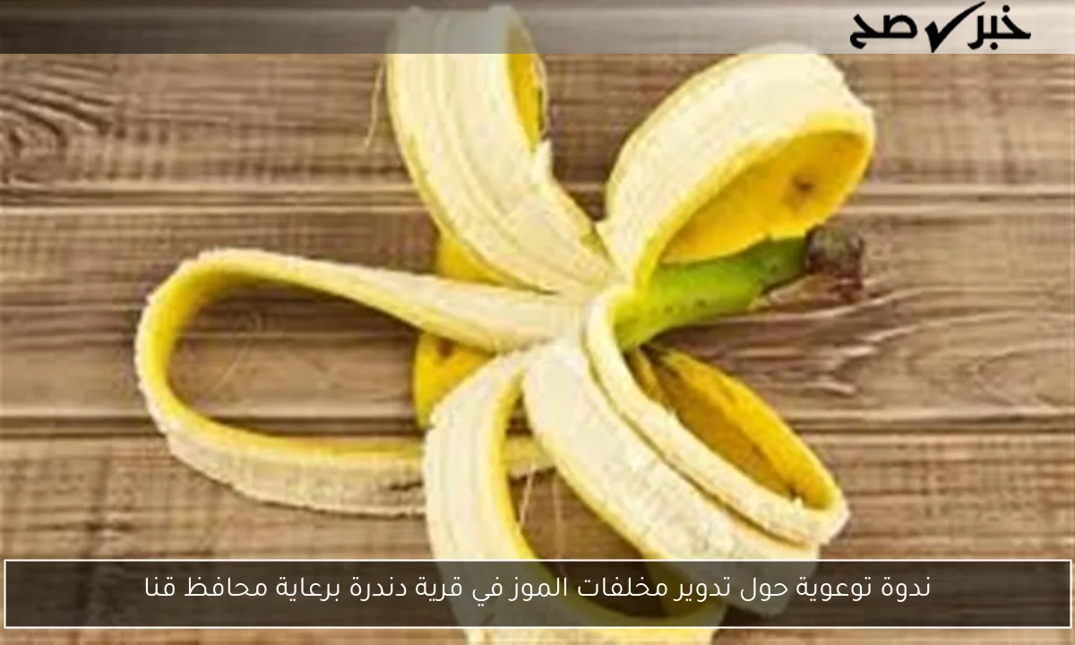 ندوة توعوية حول تدوير مخلفات الموز في قرية دندرة برعاية محافظ قنا