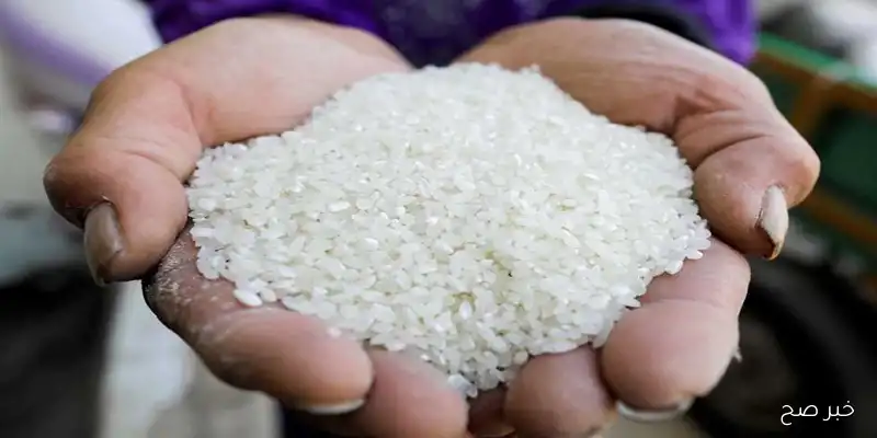 سعر طن الأرز الشعير اليوم الأحد 7\9\2025 بجميع الأنواع .. إستقرار تام في الأسواق المحلية