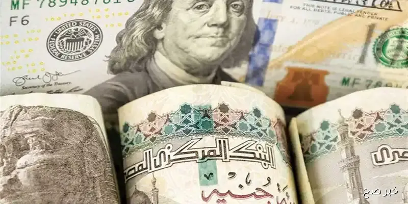 سعر الدولار اليوم في مصر أمام الجنيه يشهد استقرارًا نسبيًا في البنوك الرسمية
