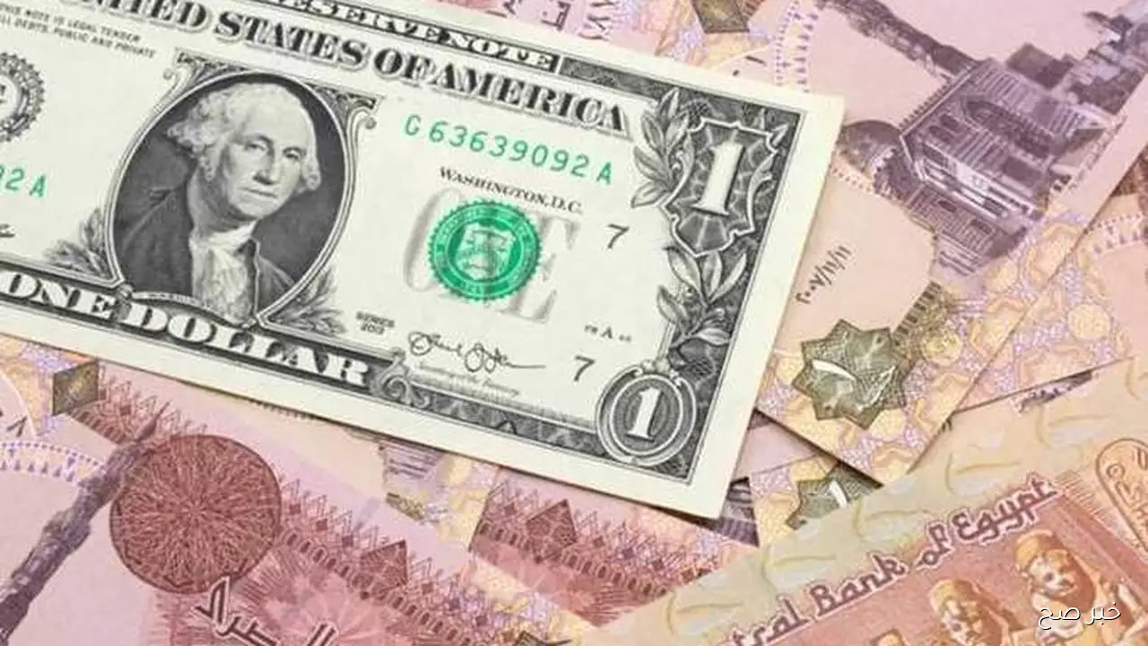 الأخضر وصل لكام؟.. سعر الدولار في السوق السوداء اليوم الاحد 28 سبتمبر 2025 مقابل الجنيه