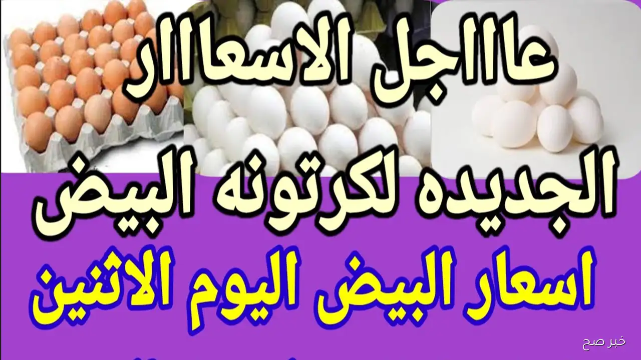 (احمر، ابيض، بلدي).. ارتفاع أسعار البيض اليوم في مصر وسط زيادة تكاليف الأعلاف والنقل