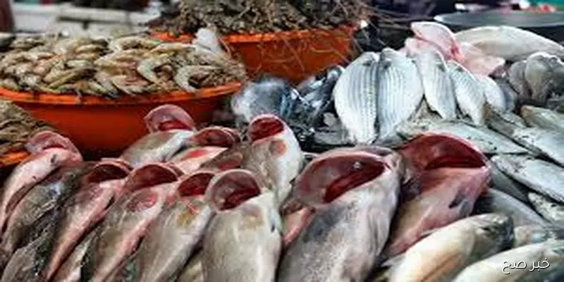 قائمة اسعار السمك اليوم الاثنين 1 سبتمبر 2025 وجميع المأكولات البحرية والجمبري بمختلف أنواعها
