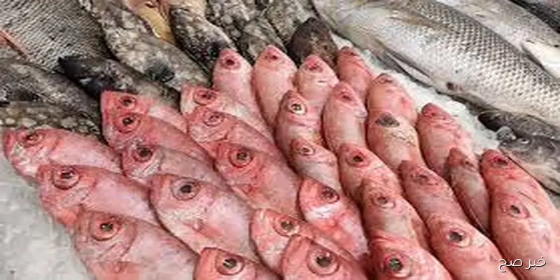 قائمة اسعار السمك اليوم الاربعاء 3 سبتمبر 2025 بداخل سوق العبور والأسواق المختلفة