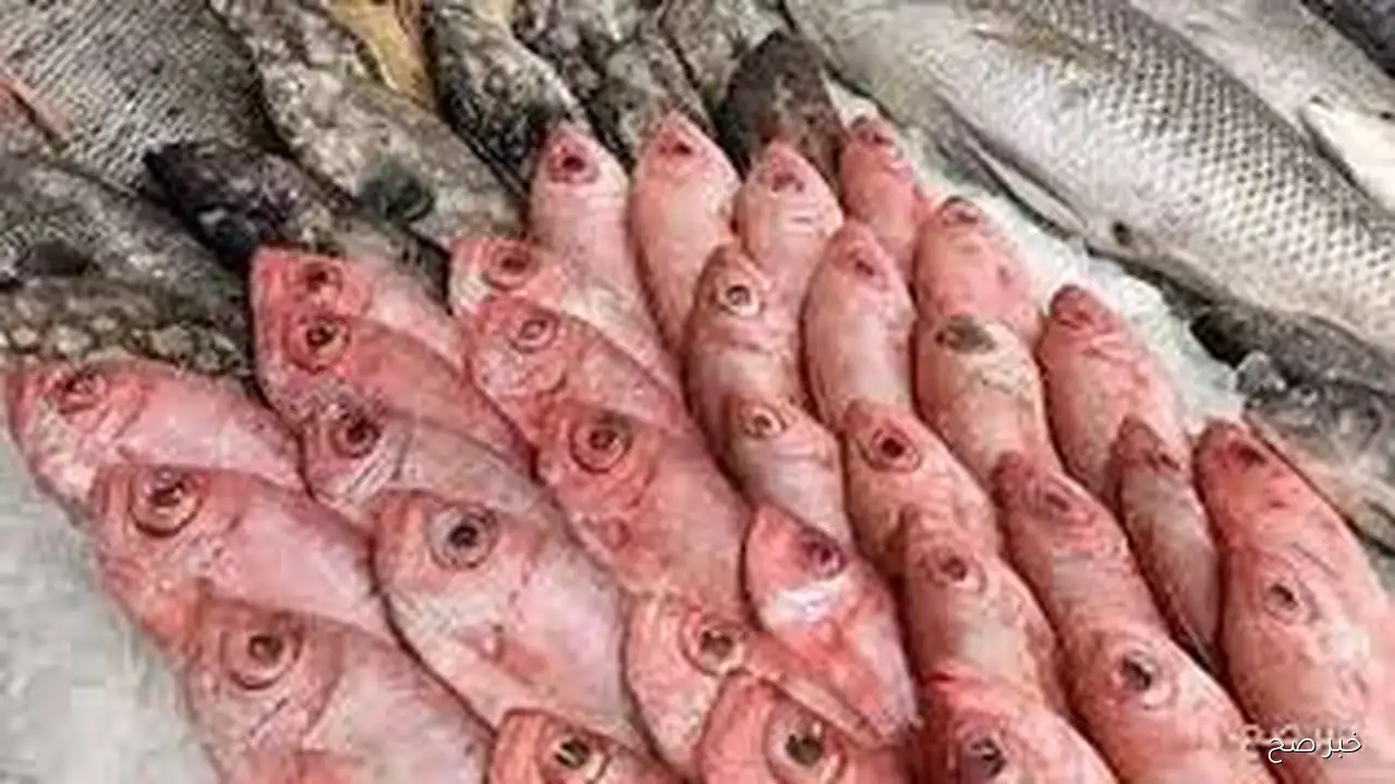 قائمة اسعار السمك اليوم الخميس 18 سبتمبر 2025 بداخل سوق العبور للجملة وحلقات وشودار الاسماك