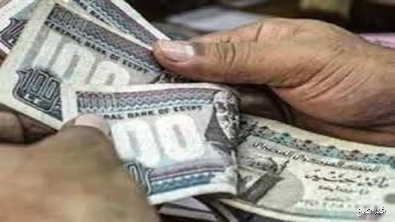 التأمينات الاجتماعية تُحدد موعد صرف المعاشات شهر اكتوبر 2025 بالزيادة الاخيره المقرره من يوليو الماضي