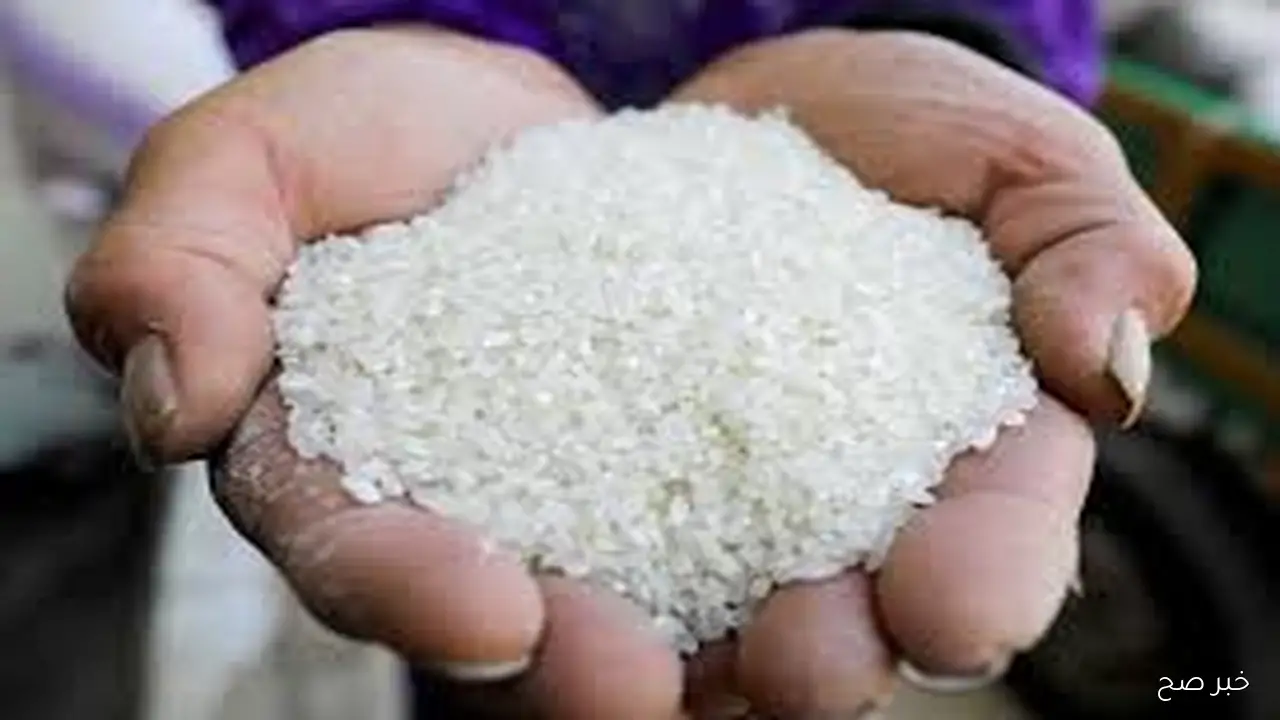 آخر تحديث لـسعر طن الأرز الأبيض اليوم الخميس 25 سبتمبر 2025 بالمحال التجاريه