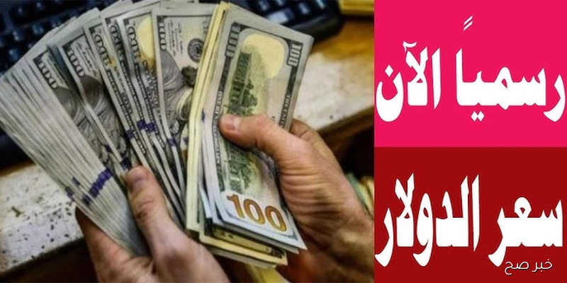 “تحديث يومي”.. سعر الدولار اليوم مقابل الجنيه المصري الخميس 4 سبتمبر 2025 بالبنوك والسوق السوداء