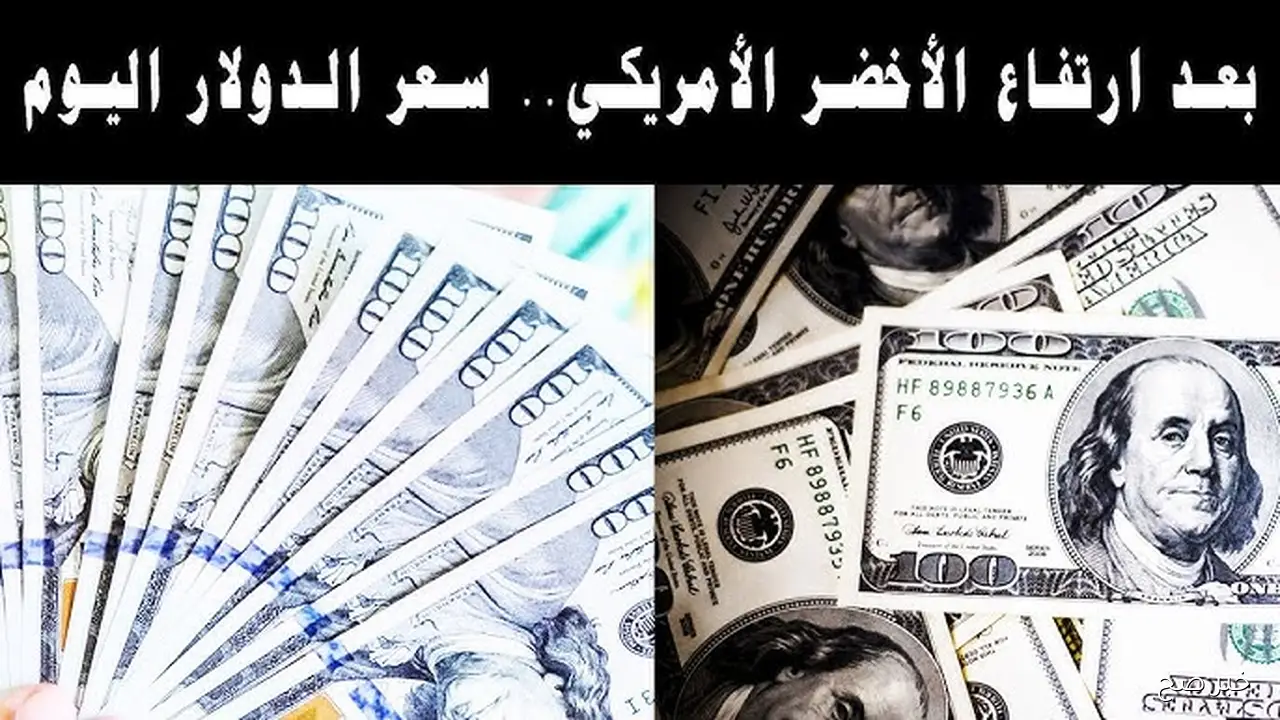 الاخضر طاير.. سعر الدولار اليوم مقابل الجنيه المصرى الاربعاء 24 سبتمبر 2025 بالبنوك المصرية