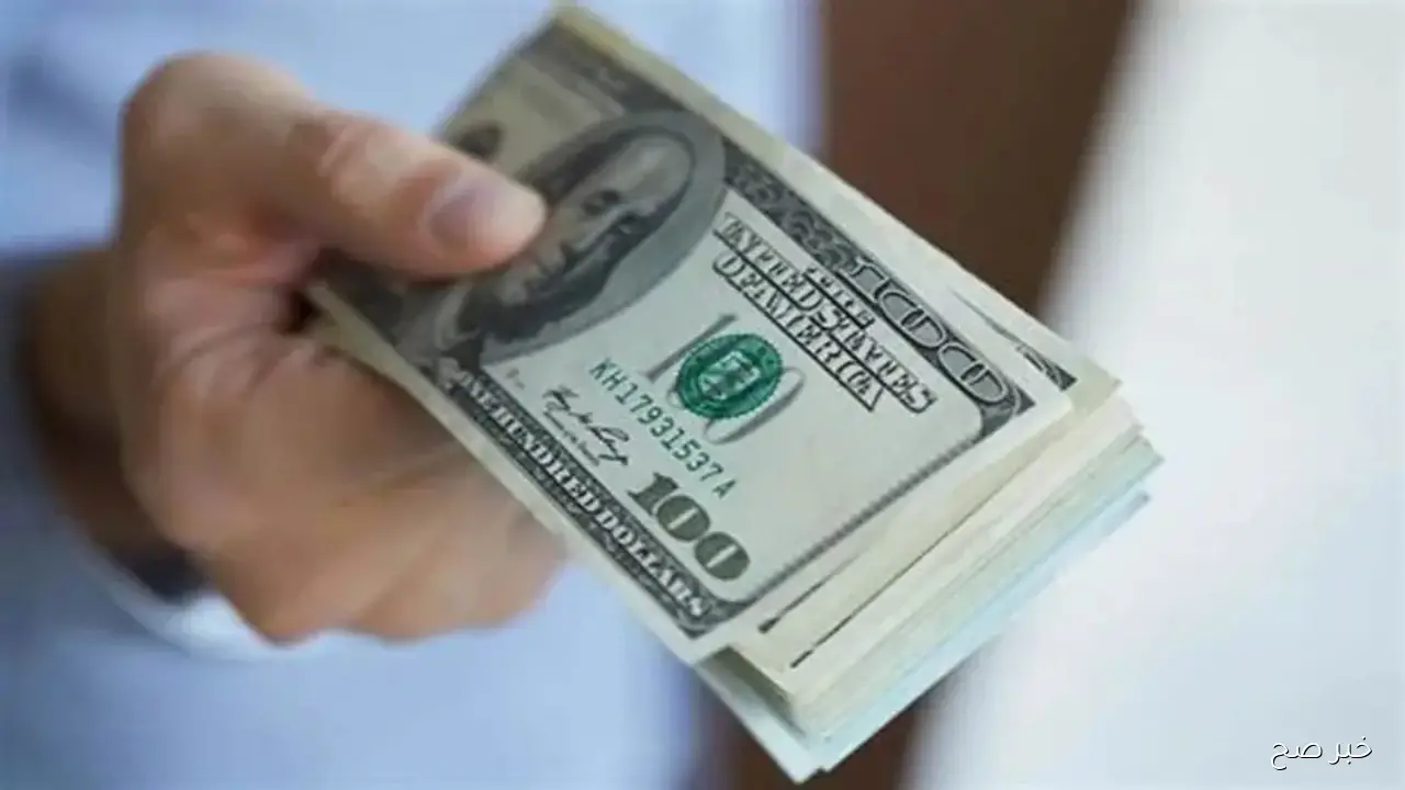1 دولار كم جنيه مصري في السوق السوداء؟.. تعرف على سعر الورقة الخضراء لحظة بلحظة