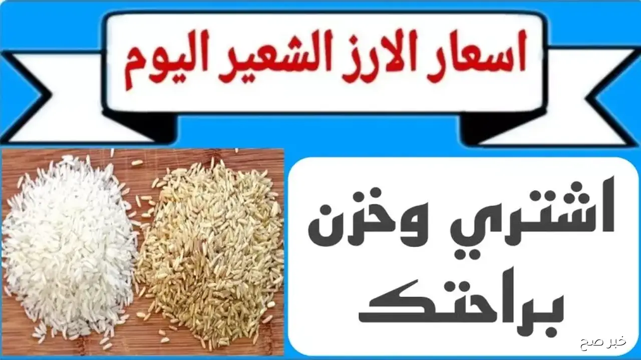 اشتري بسرعة… سعر طن الأرز الشعير اليوم الاحد 21 سبتمبر 2025 بكافة الاسواق المصرية