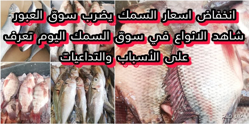 أسعار السمك اليوم للمستهلك الاثنين 8 سبتمبر 2025 في مصر داخل الأسواق المحلية وسوق العبور