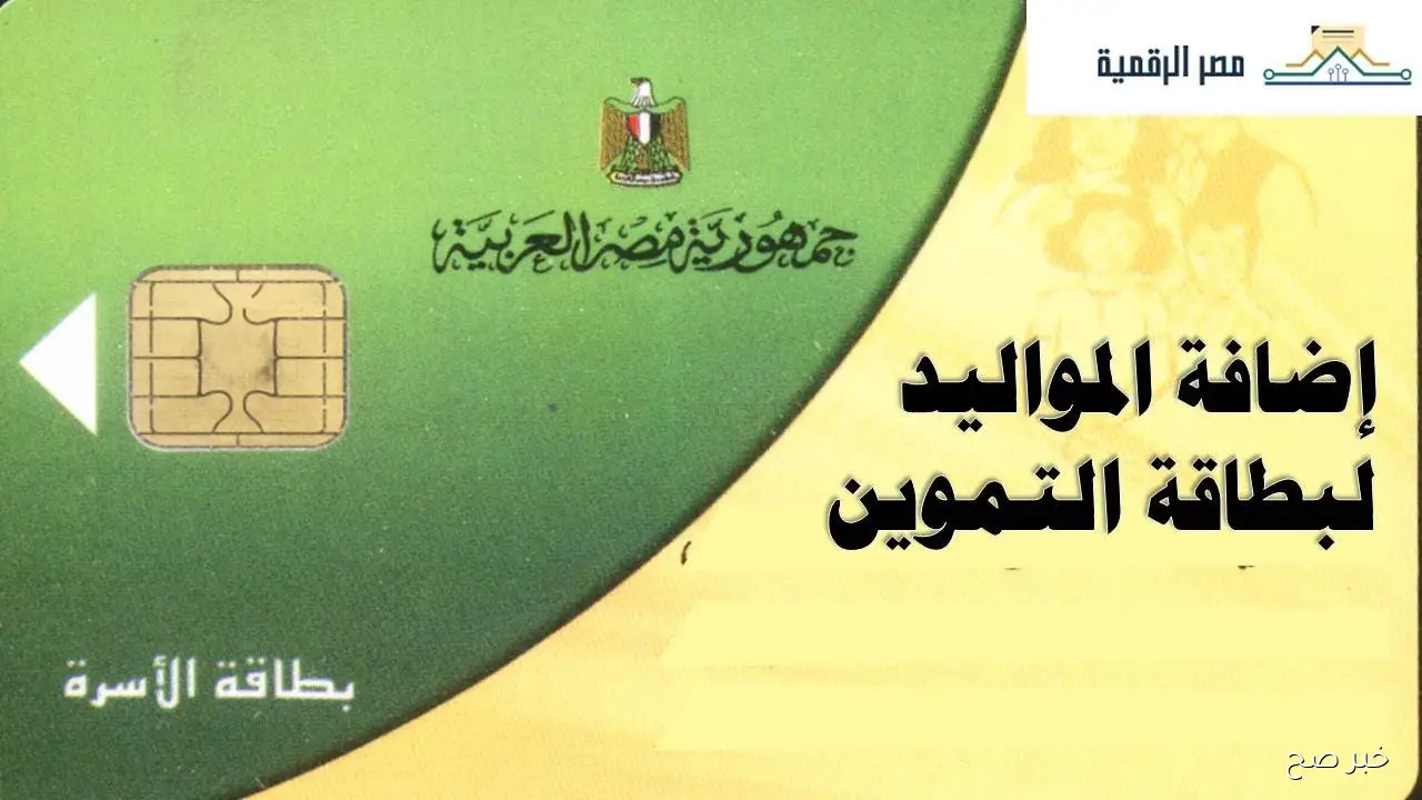 خطوة بخطوة.. إضافة مواليد وزارة التموين 2025 بالرقم القومي عبر digital.gov.eg والاوراق المطلوبة