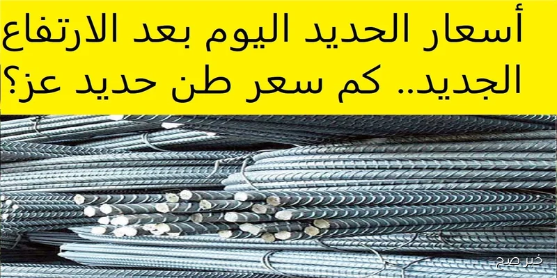 ارتفاع سعر طن الحديد في مصر اليوم.. حديد عز يتصدر المشهد بأسعار غير مسبوقة