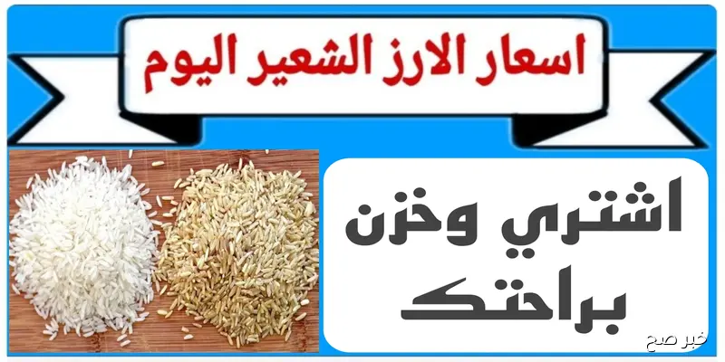 اسعار الارز الشعير اليوم الأربعاء 3 سبتمبر 2025.. انخفاض طفيف في عريض الحبة