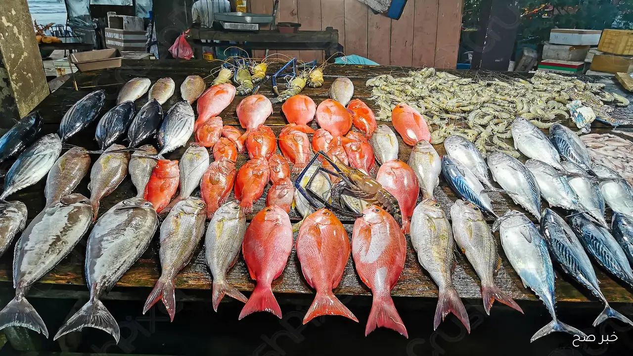 أسعار السمك اليوم السبت 27/9/2025 في سوق العبور للجملة.. تحديث جديد