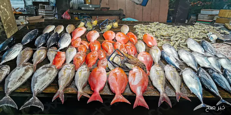 اسعار السمك اليوم الاثنين 1-9-2025 في سوق العبور للجملة.. انخفاض البلطي وارتفاع البوري