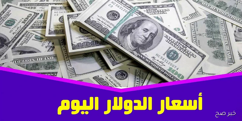 48.80 جنيه.. اعلى سعر للدولار اليوم في السوق السوداء خلال تعاملات الإثنين