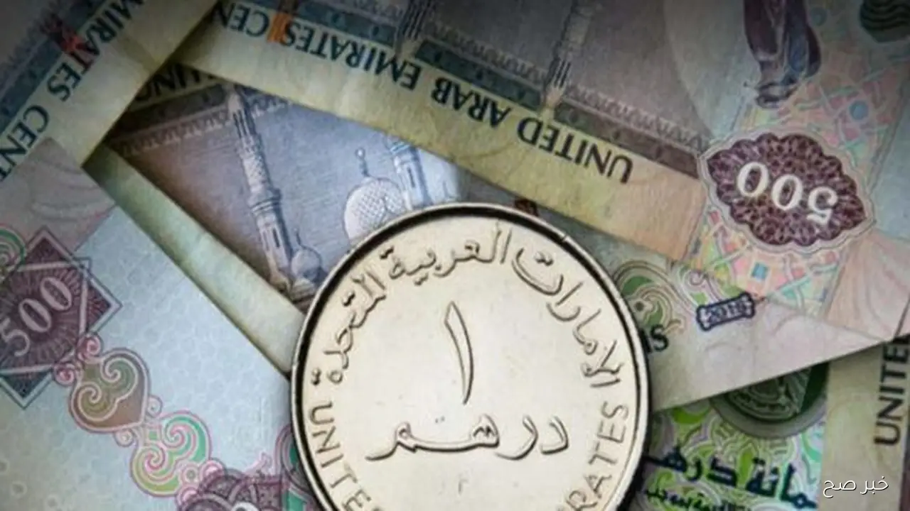 تحديث لحظي.. سعر الدرهم الإماراتي مقابل الجنيه المصري اليوم الاحد 28 سبتمبر 2025 بالبنوك