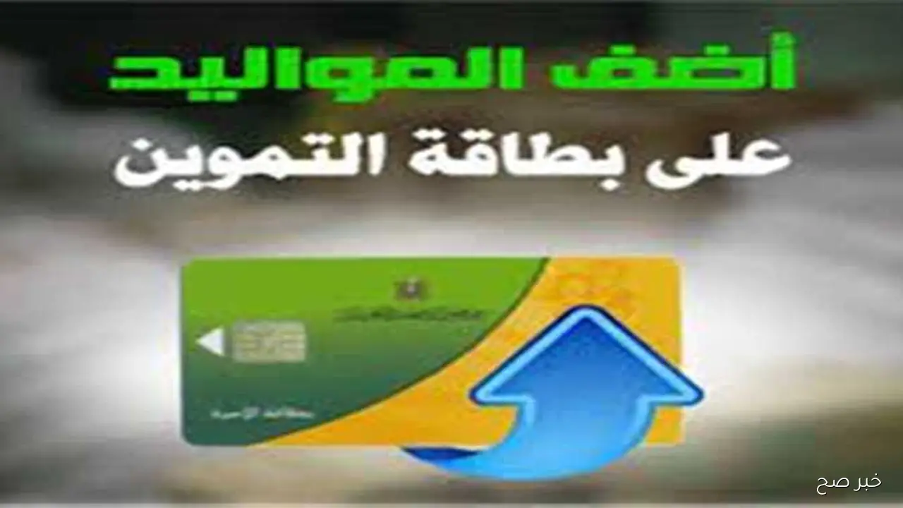 متاح الآن.. إضافة مواليد وزارة التموين 2025 عبر موقع مصر الرقمية digital.gov.eg وأهم المستندات المطلوبة