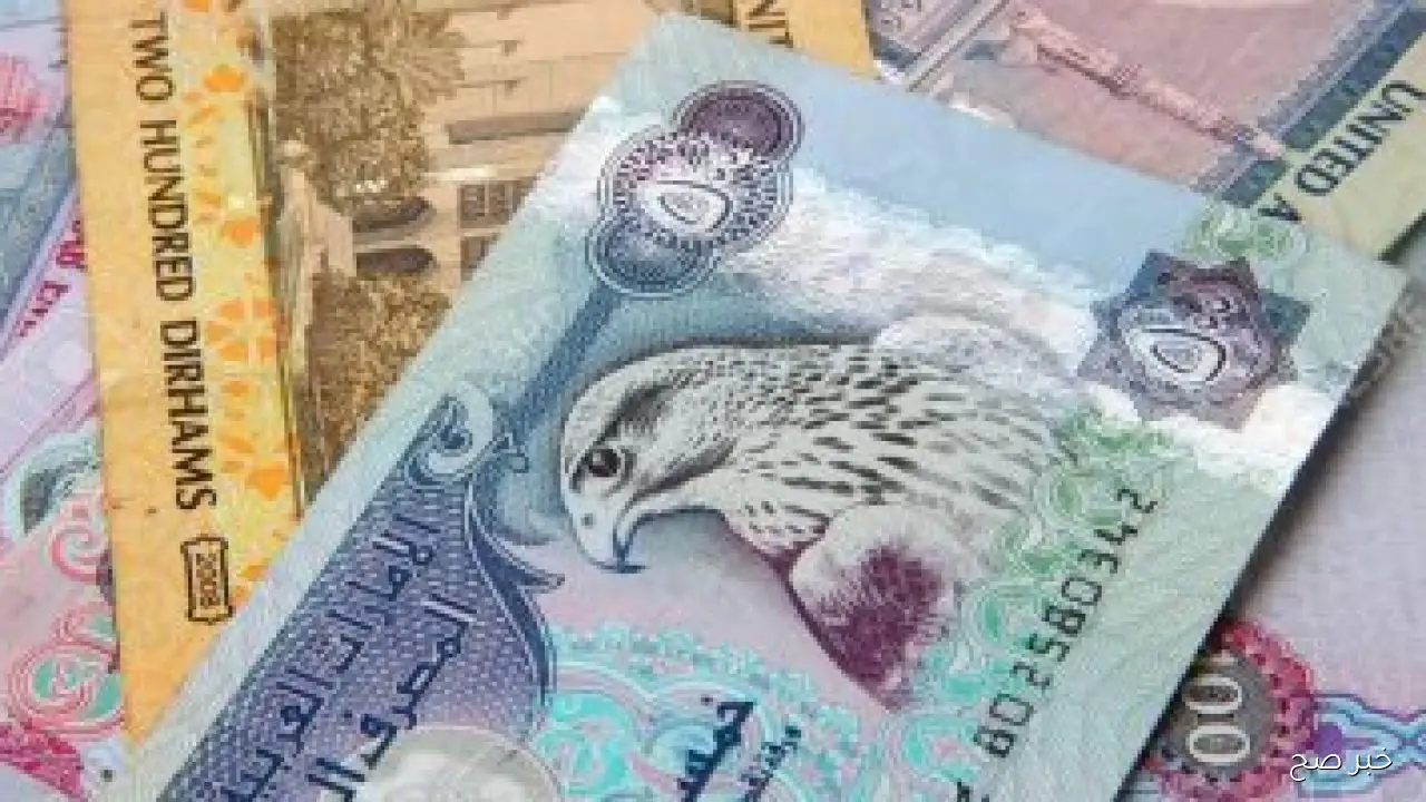سعر الدرهم الاماراتي مقابل الجنيه المصري الآن: تحديث لحظي لحركة السوق