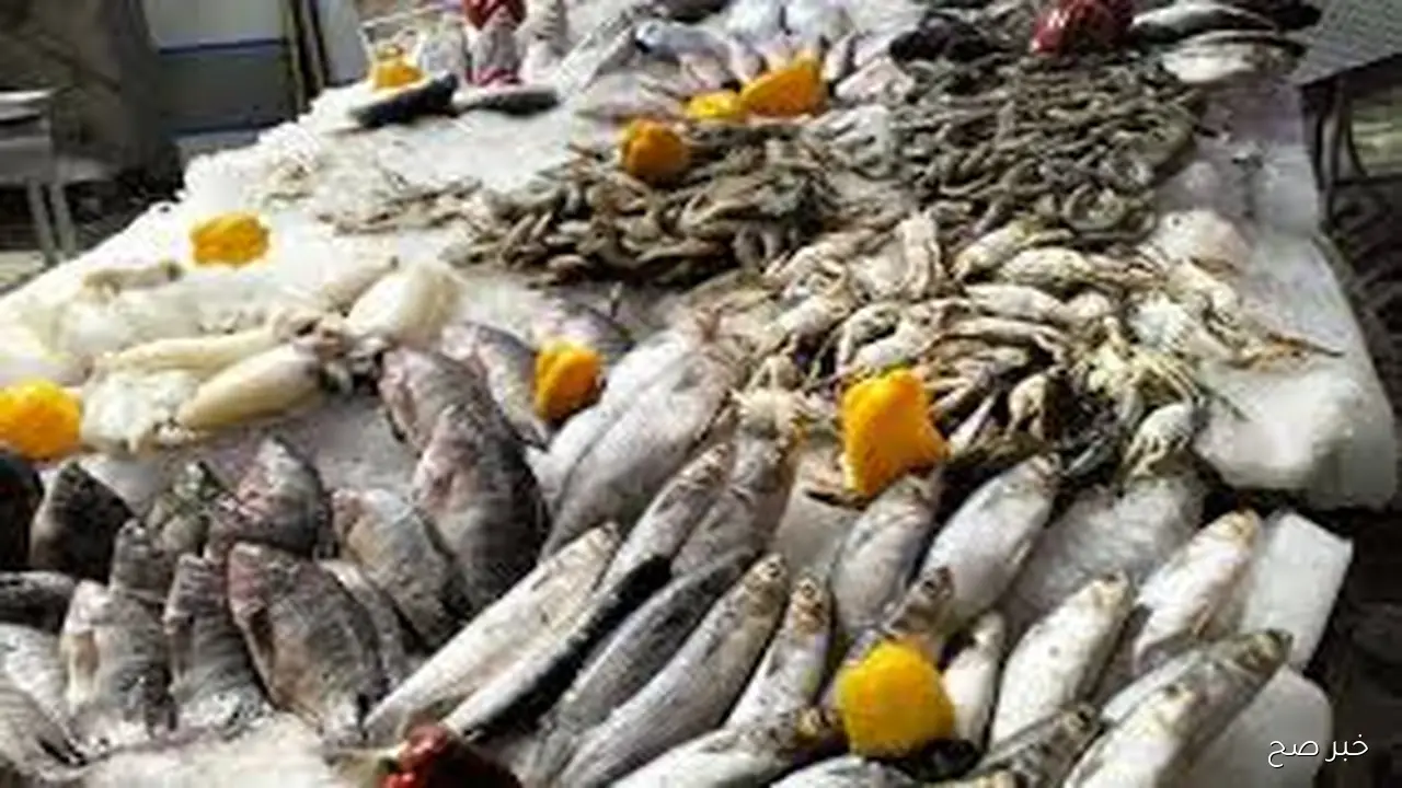 فريش ومجمد.. اسعار السمك اليوم الخميس 9 أكتوبر 2025 بشوادر وحلقات الاسماك للجمله والقطاعي