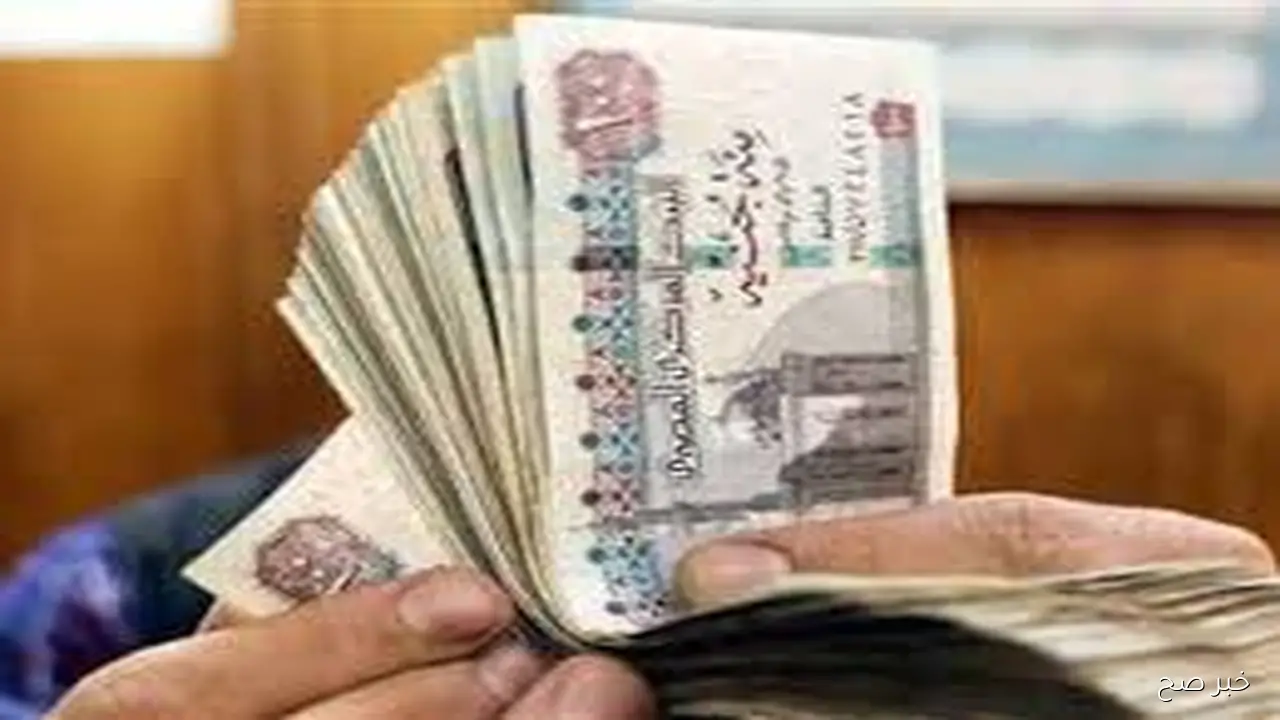 الماليه تستعد لصرف مرتبات شهر اكتوبر حسب المواعيد المعلنة بالمنظومة المالية الإلكترونية