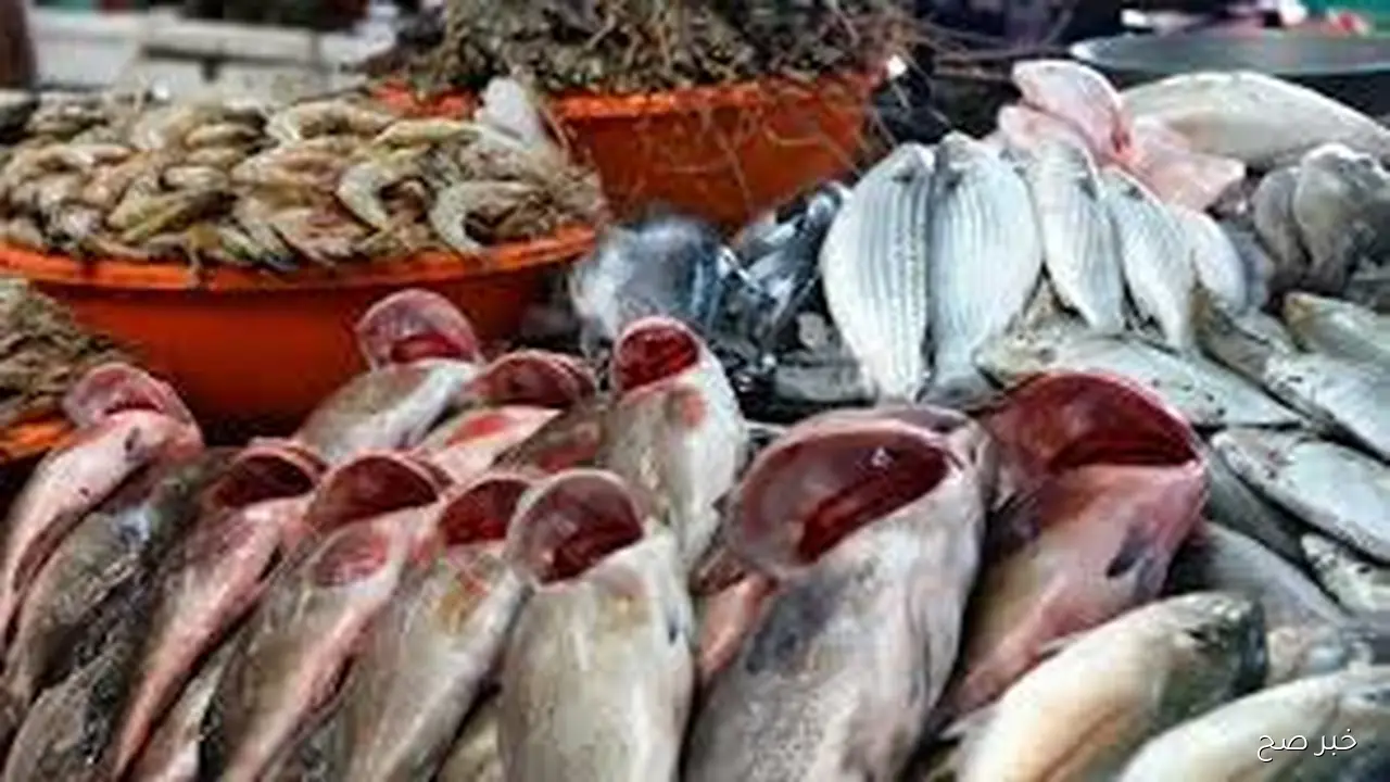 اسعار السمك اليوم للمستهلك الثلاثاء 14 أكتوبر 2025 بداخل سوق العبور والأسواق المختلفة