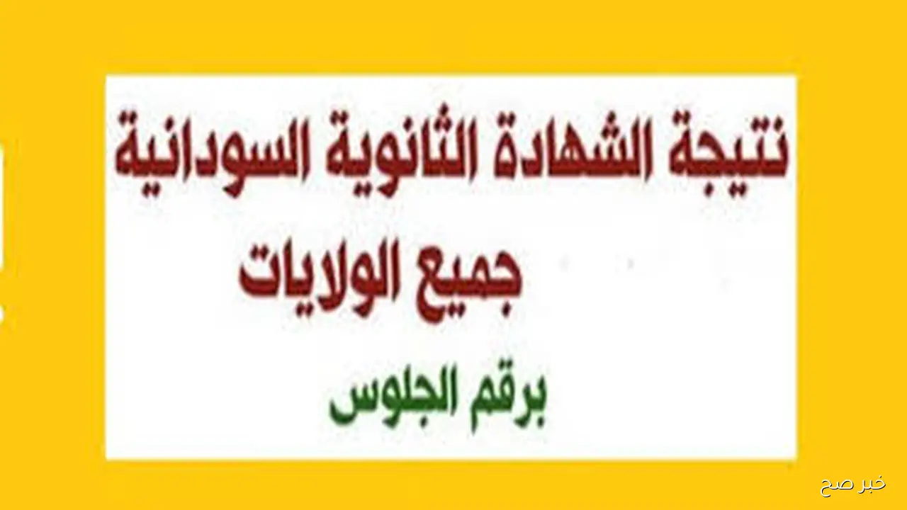 استخرج الآن.. نتيجة الشهادة السودانية 2025 بنسبة نجاح 77.8% عبر موقع الوزارة الرسمي gmoe.gov.sd
