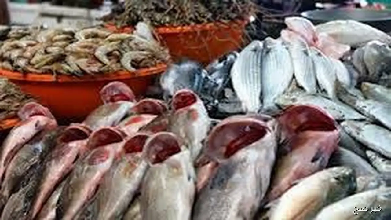 اسعار السمك اليوم الثلاثاء 21 أكتوبر 2025 بشوادر وحلقات الاسماك للجملة والقطاعي