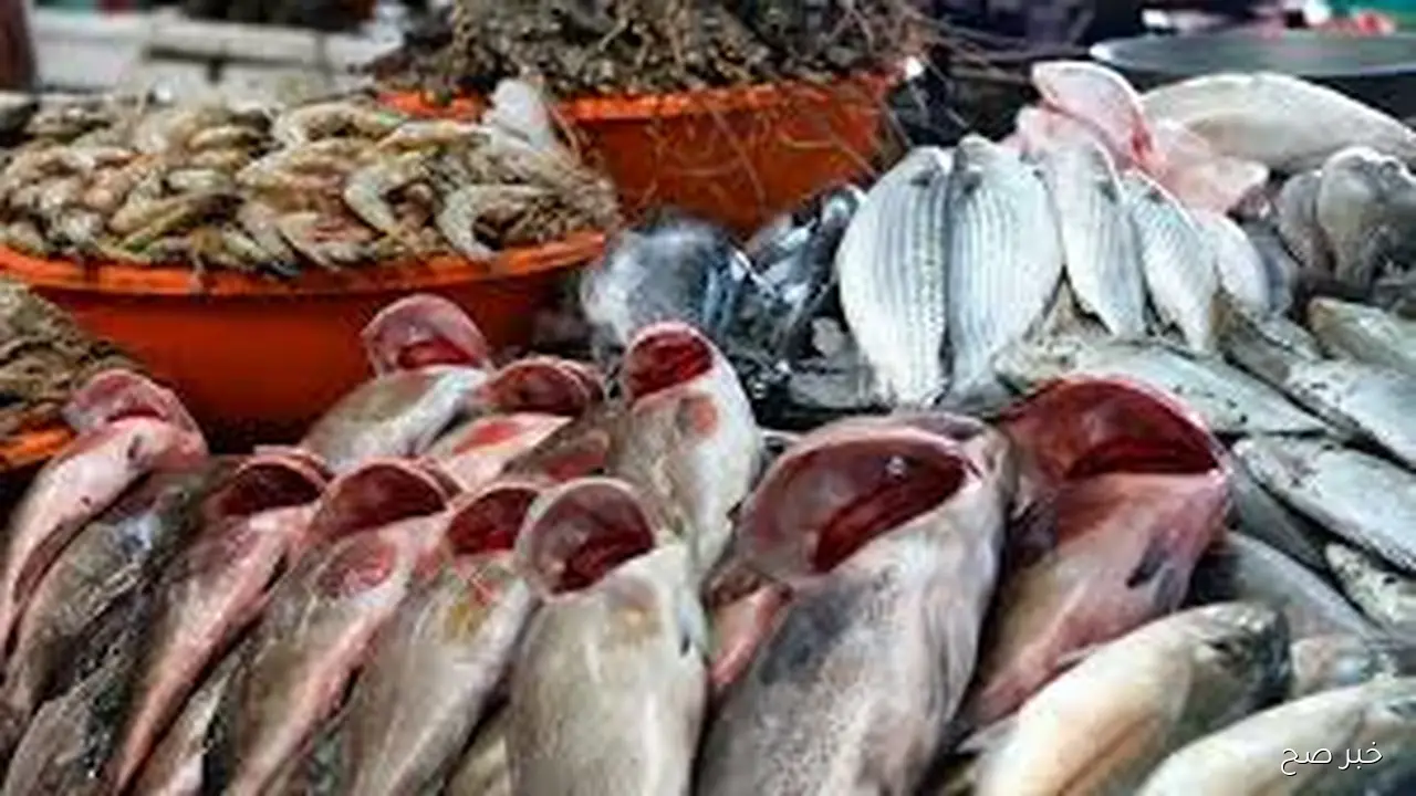 قائمة اسعار السمك اليوم الاربعاء 22 اكتوبر 2025 بشوادر وحلقات الاسماك للجمله والقطاعي 