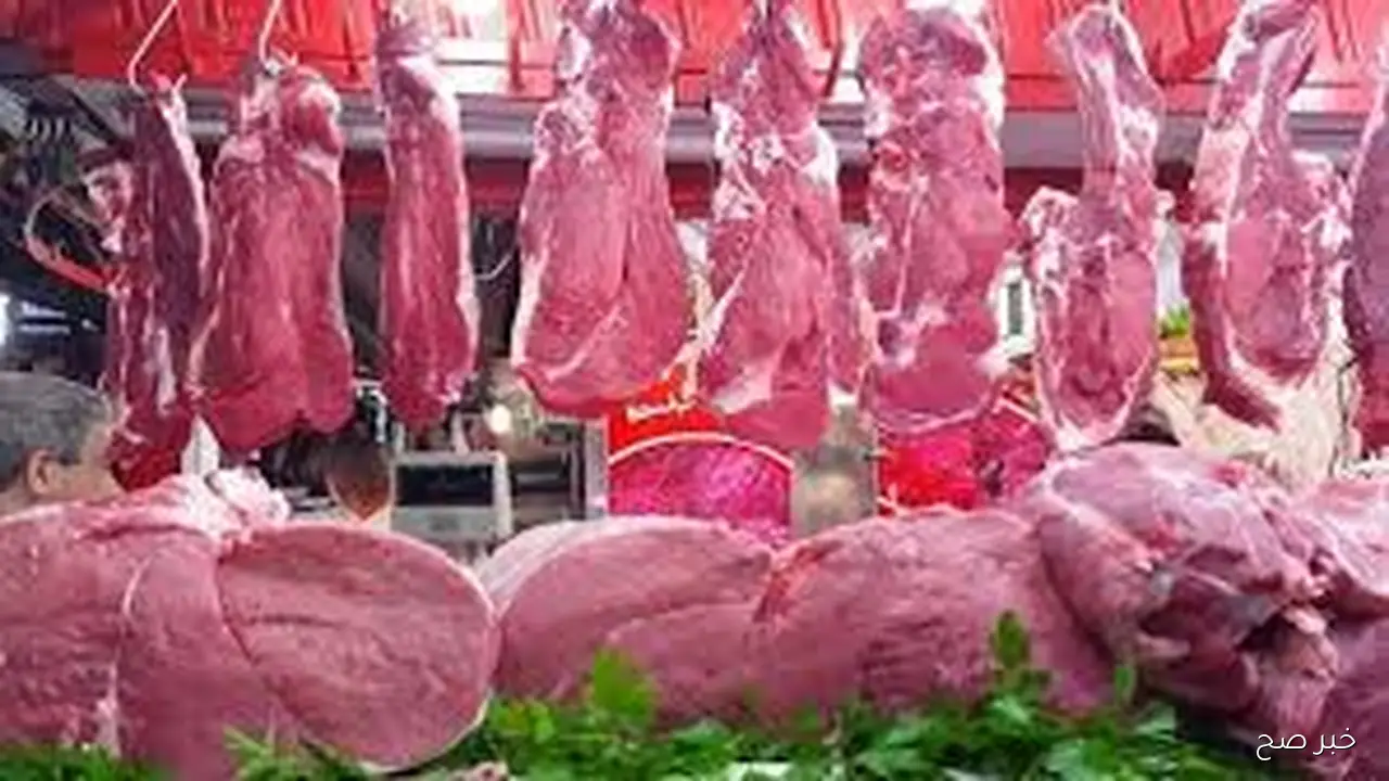 اسعار اللحوم الحمراء اليوم بمستهل بداية تعاملات الاربعاء 22 اكتوبر 2025 بمحلات الجزارة ومنافذ البيع