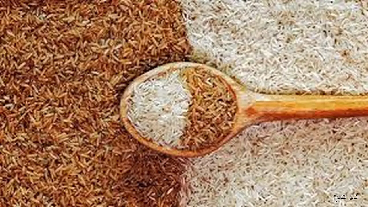 سعر طن الارز الشعير اليوم الخميس 30 اكتوبر 2025 وفق آخر تحديث بالمحلات التجارية