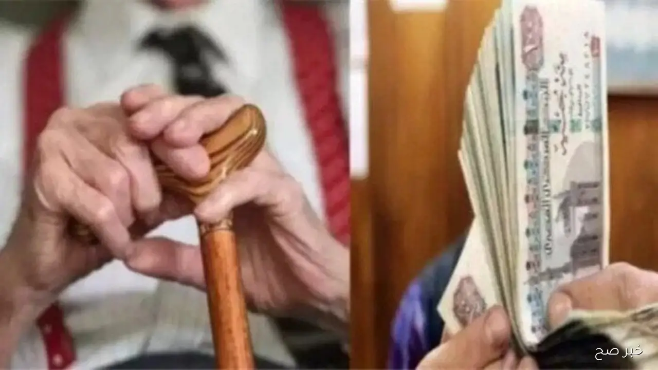 التأمينات الاجتماعيه تحدد موعد صرف معاشات نوفمبر 2025 لجميع المستحقين بالزياده الاخيره