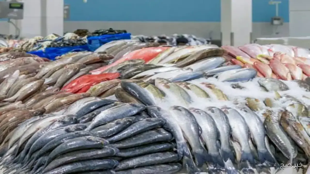 قائمة اسعار السمك اليوم الاربعاء 22 اكتوبر 2025 في سوق العبور بآخر تحديث.. البلطي بـ 80 جنيهًا