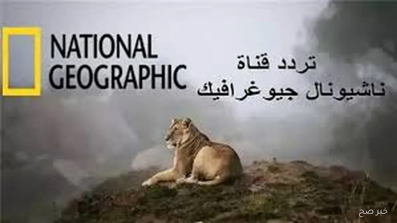 استقبل تردد قناة ناشيونال جيوغرافيك الجديد 2025 نايل سات لمتابعة عالم الحيوان بجودة HD