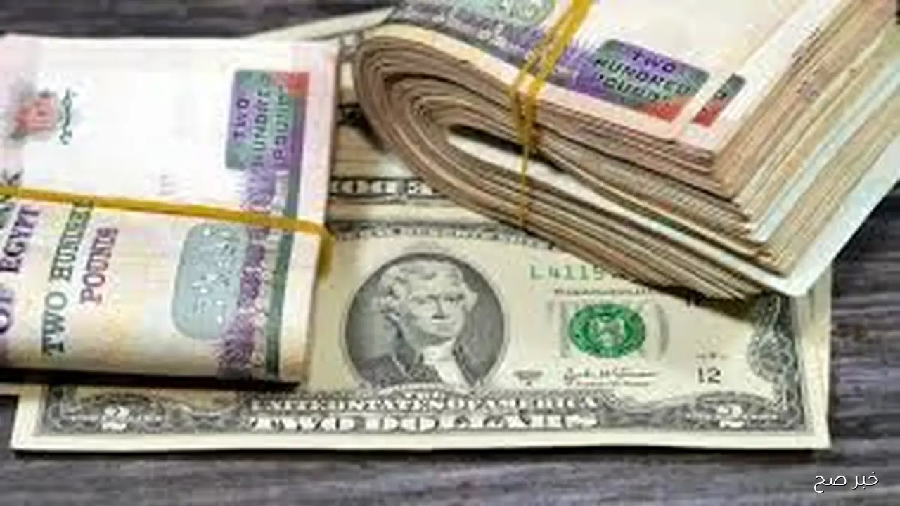 لحظة بلحظة.. سعر الدولار مقابل الجنيه المصري اليوم الجمعة 24-10-2025 بالبنوك والسوق السوداء