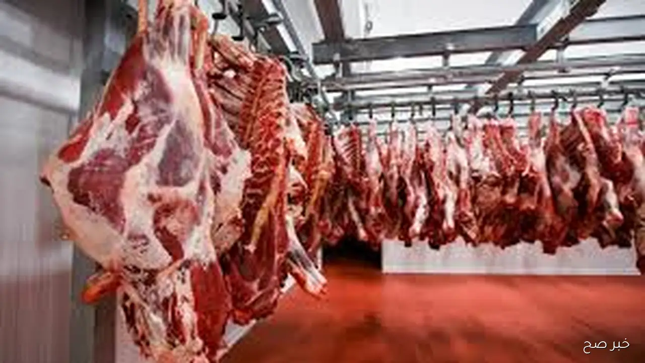 قائمة اسعار اللحوم اليوم الأحد 26 أكتوبر 2025 بمحلات الجزارة والمجمعات الاستهلاكية