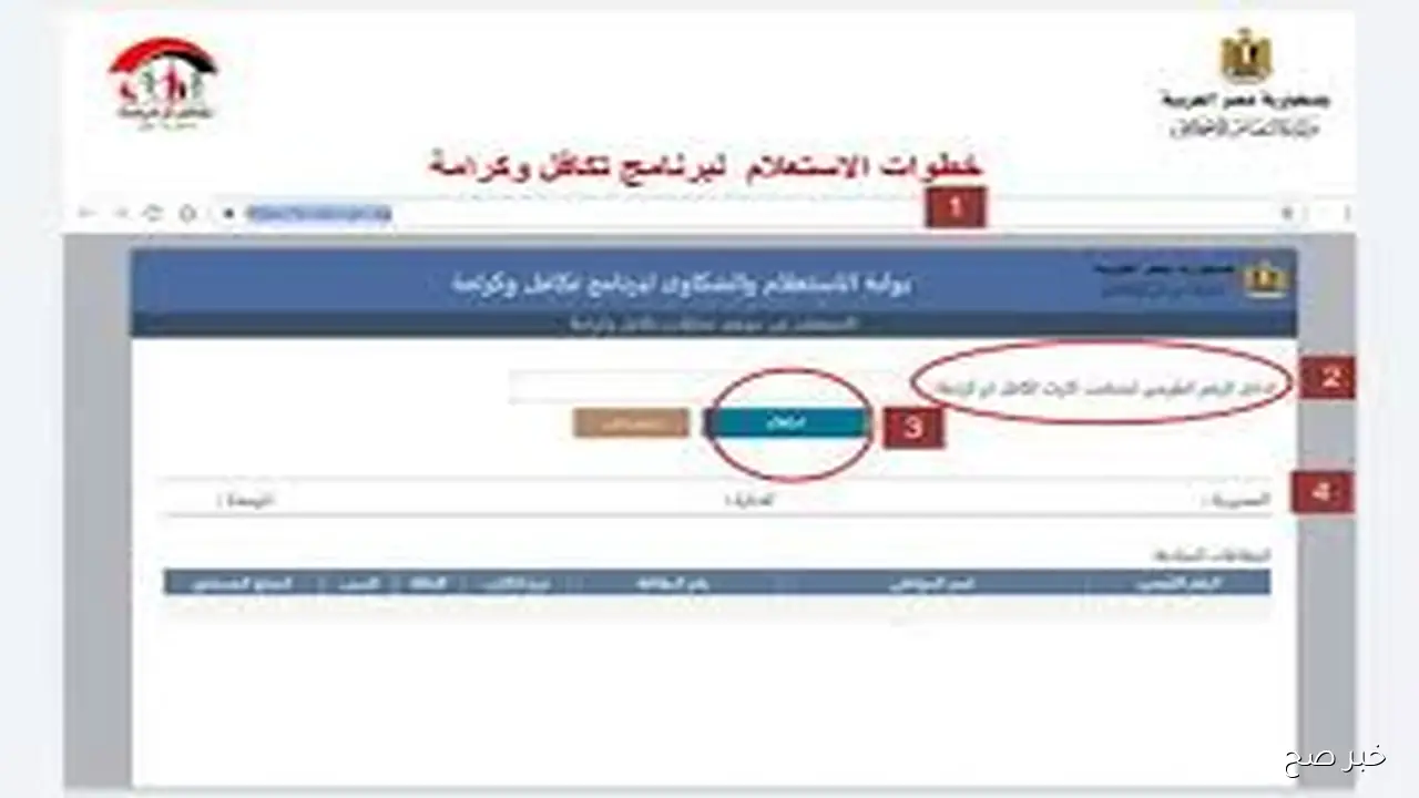 خطوات استعلام بالرقم القومي تكافل وكرامة لشهر نوفمبر 2025 عبر موقع وزارة التضامن moss.gov.eg