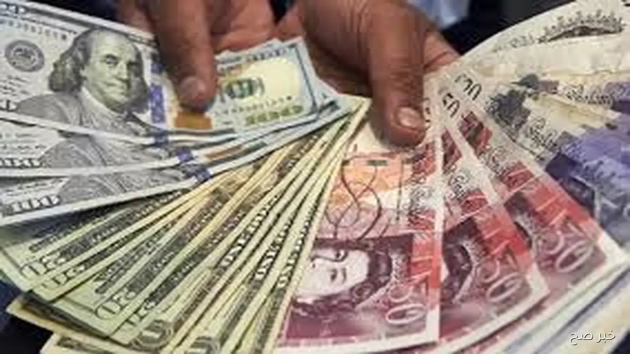 تحديث لحظة بلحظة.. أسعار العملات في السوق السوداء اليوم الثلاثاء 28 اكتوبر 225 مقابل الجنيه المصري بيع وشراء