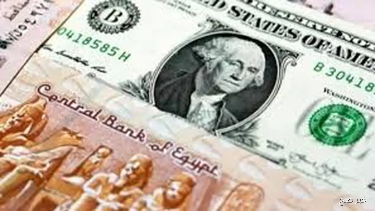 سعر الدولار اليوم في السوق السوداء الخميس 30 اكتوبر 2025 مقابل الجنيه المصري وفق آخر تحديث