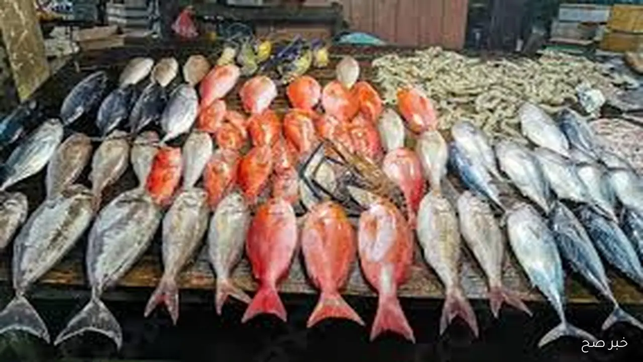 تباين اسعار السمك اليوم الثلاثاء 14 اكتوبر 2025 في سوق العبور وحلقات الاسماك بختام التعاملات