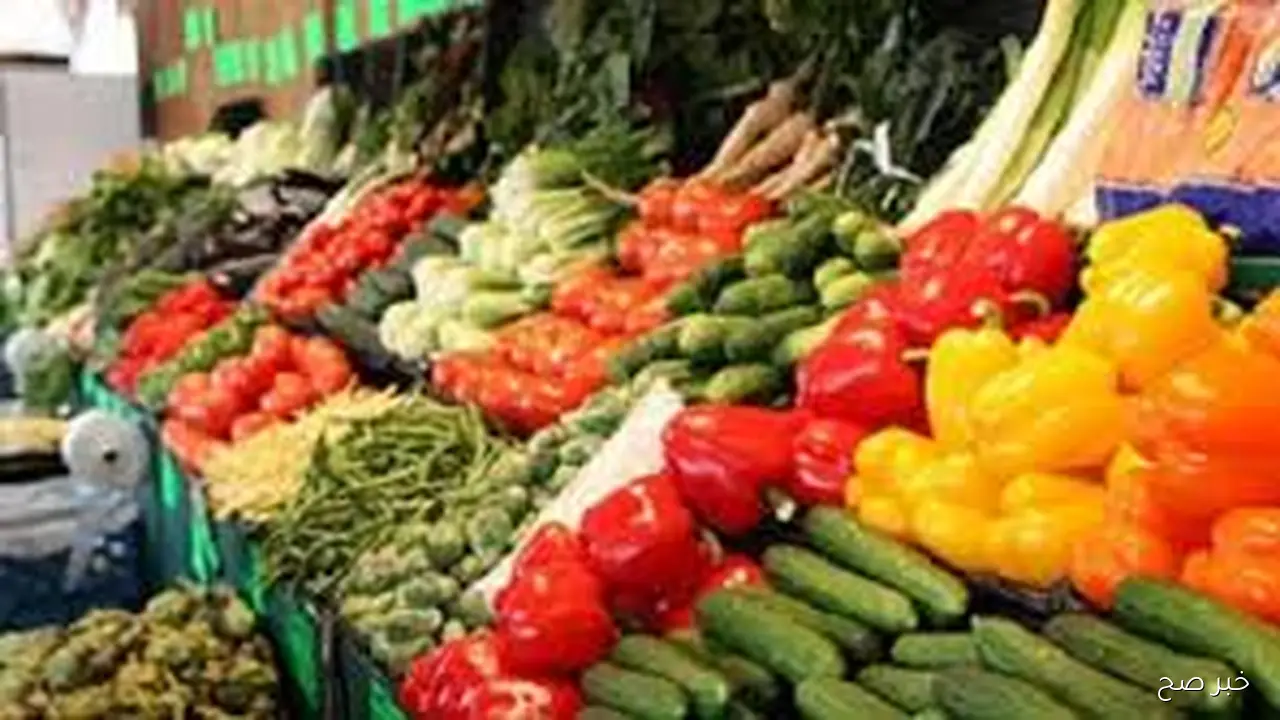 انخفاض سعر الحديد والاسمنت اليوم الثلاثاء 7-10-2025 للتجار الموزعين في مصر