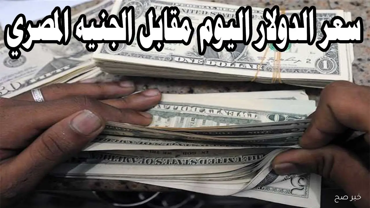 مُباشر الان.. سعر الدولار اليوم مقابل الجنيه المصري الخميس 30 أكتوبر 2025 بختام التعاملات