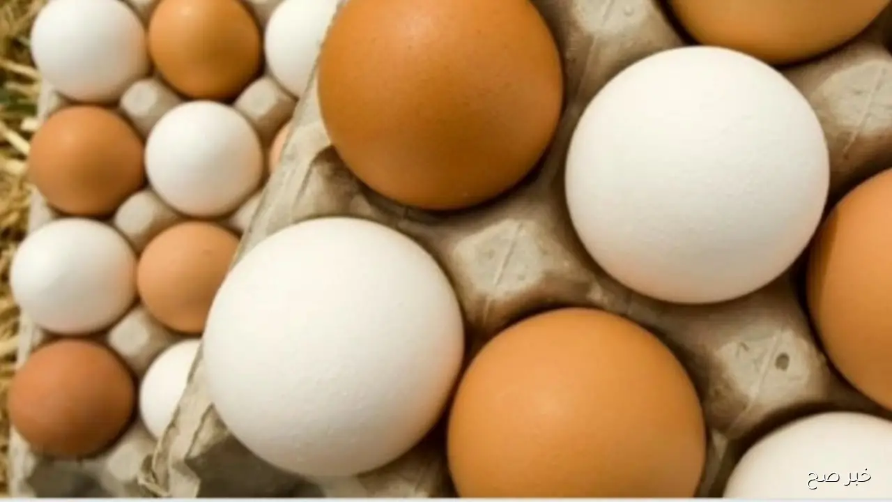 سعر كرتونة البيض اليوم للمستهلك الاربعاء 29/ 10/ 2025 في جميع الاسواق المحلية