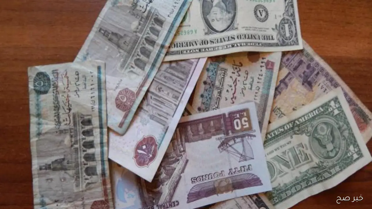 “دولار،دينار،يورو”.. أسعار العملات في السوق السوداء اليوم في مصر الاثنين 27 أكتوبر 2025