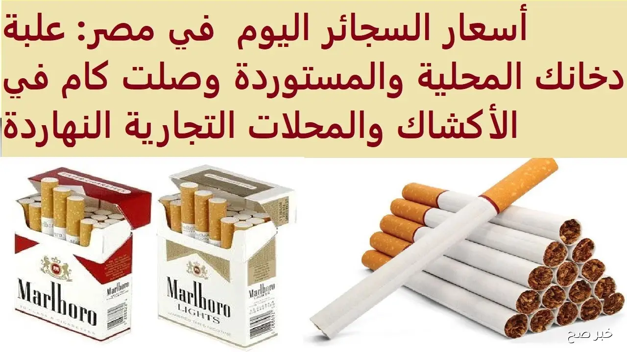 اسعار السجائر اليوم الجمعة 10 أكتوبر 2025 داخل الأسواق.. تعرف على الأسعار الرسمية